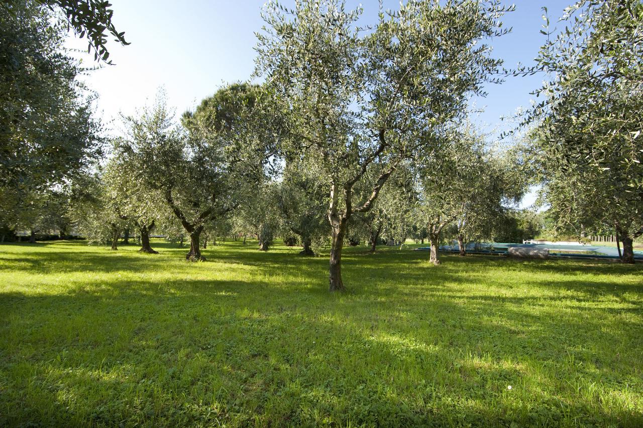 Villa Agrigturismo Monte Cicogna Moniga del Garda Exterior foto